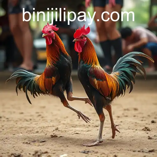 An In-Depth Look at Sabong Games: The Evolution and Culture of Cockfighting